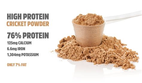 cricket-protein-powder – JR Unique Foods Ltd