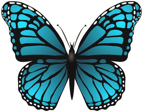 Download High Quality butterfly clip art blue Transparent PNG Images ...