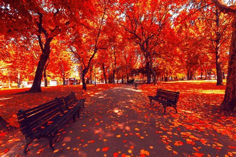 50 Hình ảnh mùa thu - Tổng hợp những hình ảnh mùa thu đẹp nhất