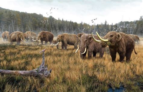 A herd of American Mastodon by Roman Yevseyev | Animali, Mammiferi, Animali fantastici