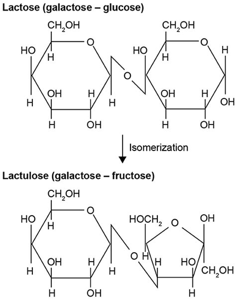 Lactulose Mechanism Of Action