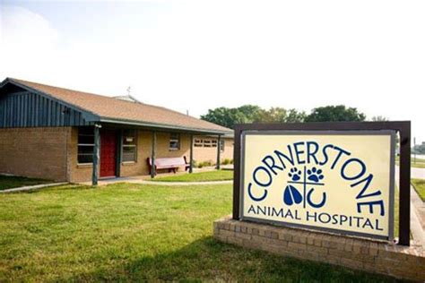 Veterinarian in Stephenville, TX | Cornerstone Animal Hospital