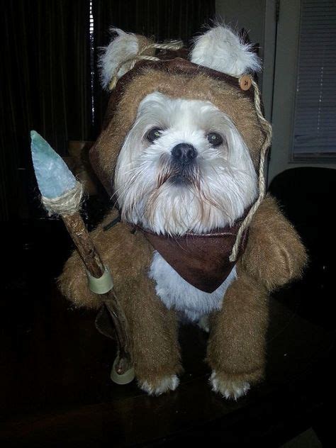 7 Best Wookie Costume images | Ewok, Ewok costume, Dog costumes