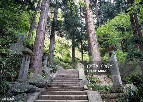 Yama (Buddhism) Photos and Premium High Res Pictures - Getty Images