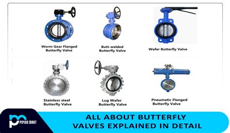 What is Butterfly valves? Types, Working and Standard