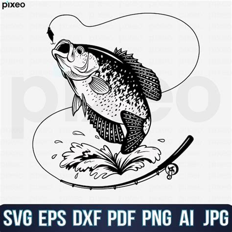 Crappie Fishing Svg Fishing Svg Crappie Fish Svg Crappie - Etsy