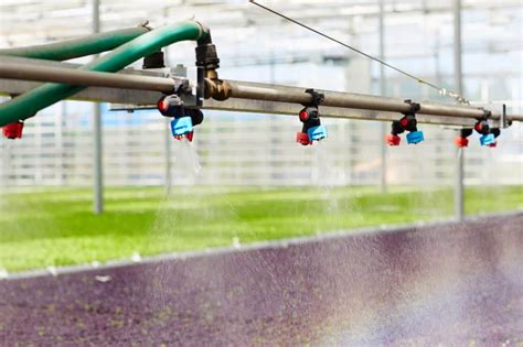 Best Greenhouse Watering System: Greenhouse Irrigation