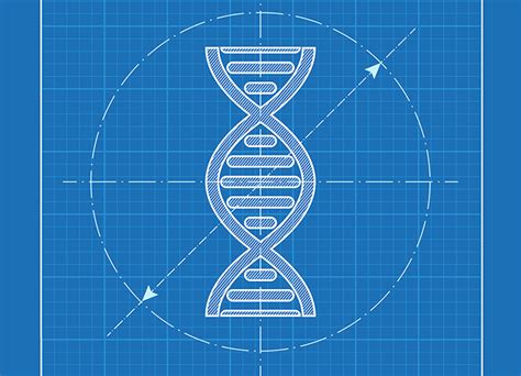 A 'Blueprint' for Genetic Determinism - Mad In America