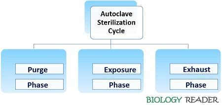 What is Autoclave Sterilization? Meaning, Video, Parameters, Components & Autoclaving - Biology ...