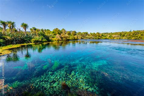 Te Waikoropupu Springs, Pupu Springs, Golden Bay, New Zealand: crystal clear water flows from ...