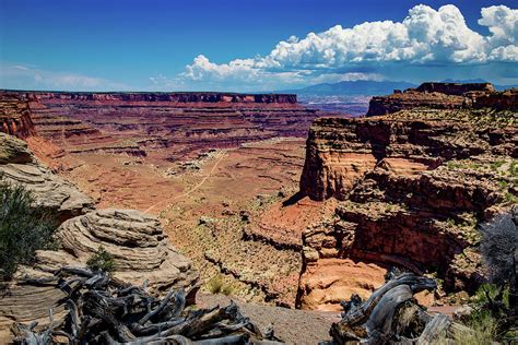 Canyonlands National Park Moab 1 - Utah Photograph by Jon Berghoff ...