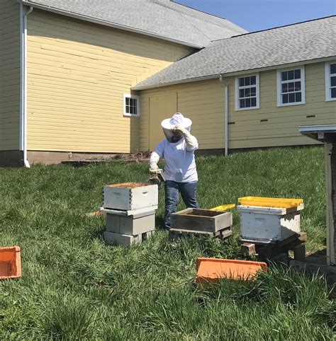 Bees and Beekeeping – Strong Family Farm