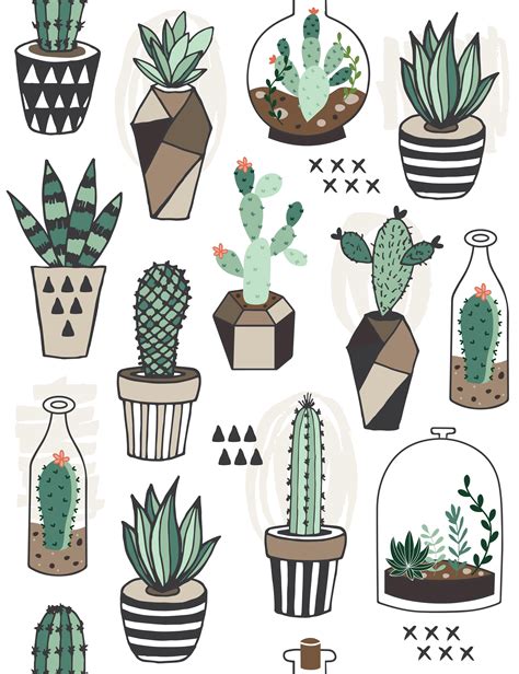 Cactus seamless patterns – Fubiz Media