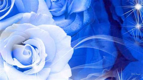 Royal Blue Flowers HD Wallpapers - Top Free Royal Blue Flowers HD Backgrounds - WallpaperAccess