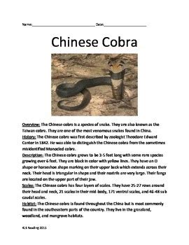 Chinese Cobra - Snake - Informational Review Article Facts Questions ...