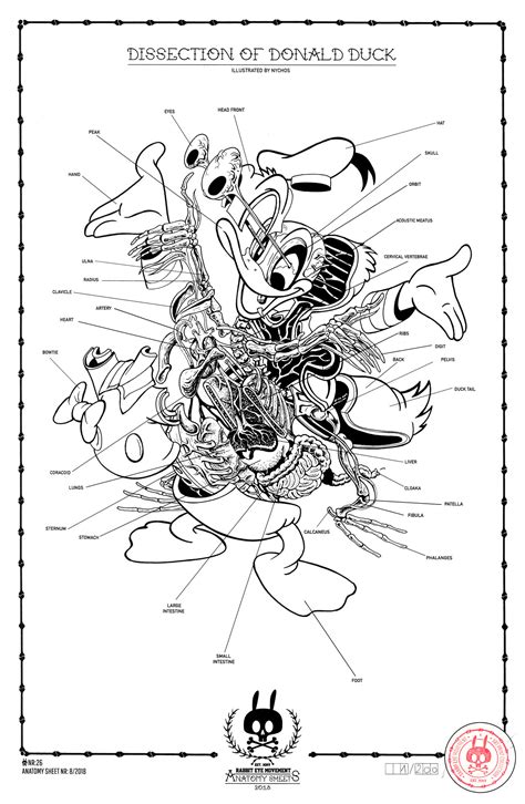 DISSECTION OF DONALD DUCK – ANATOMY SHEET NO. 26 - Rabbit Eye Movement Inc.