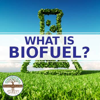 Biofuel vs Fossil Fuels - Science Worksheet Printable or Google | TPT