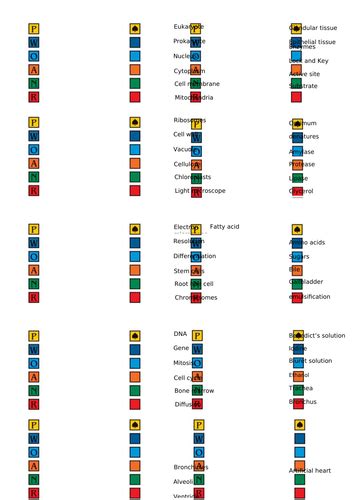 Articulate cards Science version | Teaching Resources