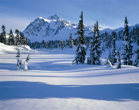 North Cascades National Park | Washington, USA, Hiking, Wildlife | Britannica