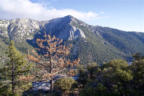 Explore the Beauty of Mount San Jacinto State Park in California