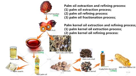 Products of palm oil extraction and refining_Palm Oil Extraction FAQ