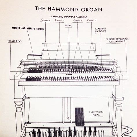 19 The love for the Hammond B3 Organ ideas | the hammond, hammond ...