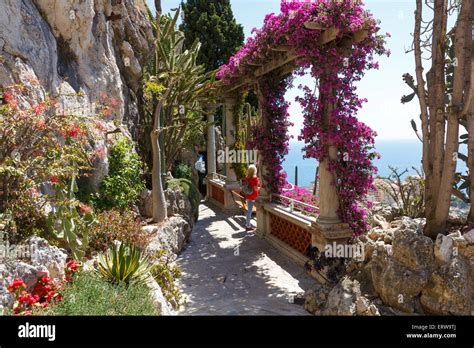 Exotic Garden of Monaco Stock Photo - Alamy