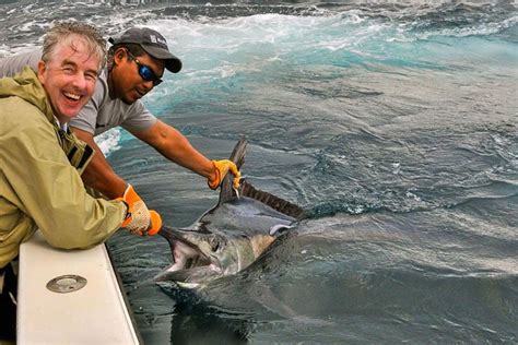 Black Marlin: Species Spotlight | Fishing Holidays | Sportquest Holidays