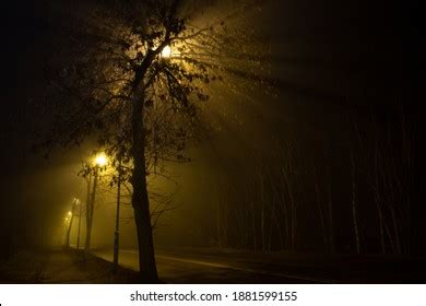 Abandoned Playground By Night Illuminated By Stock Photo 1881599164 | Shutterstock