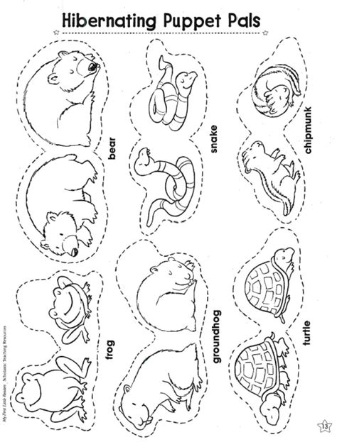 Hibernation Worksheet For 2nd Grade