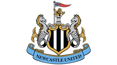 Newcastle Fan Celebrates Club's Goal By Flashing Penis On Camera ...