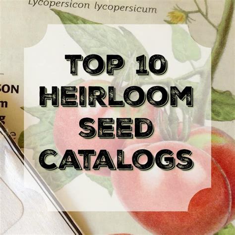 BEST PLACES TO ORDER HEIRLOOM SEEDS