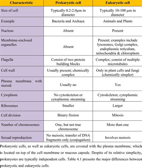 1 Principal differences between prokaryotic cells and eukaryotic cells... | Download Table ...