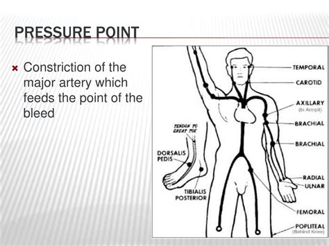 PPT - All Bleeding Stops… Eventually PowerPoint Presentation, free ...