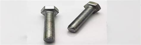 Stainless Steel 316 Bolts Suppliers