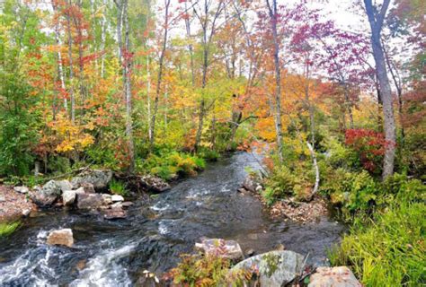 A fall foliage tour of the Northeast | U.S. Fish & Wildlife Service