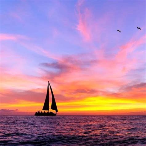 Sunset & Dolphin Sightseeing on the Ohana Sailboat - TripShock!