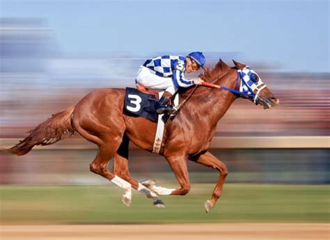 Secretariat and jockey Ron Turcotte. Secretariat, a 3-to-2 favorite ...