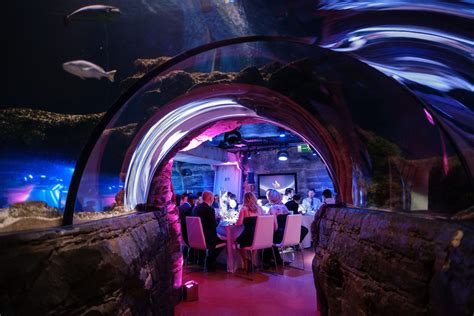 Dinner awaits at Sea Life London Aquarium | Sea life, London, London venues