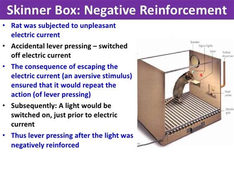 Skinner Box - VCE U4 Psychology