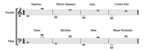 Vocal Range Charts in 2023 [7 Different Types Explained] - BecomeSingers.Com