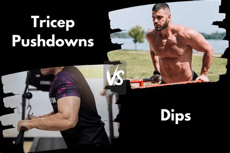 Tricep Pushdowns vs Dips: A Triceps Showdown – Horton Barbell