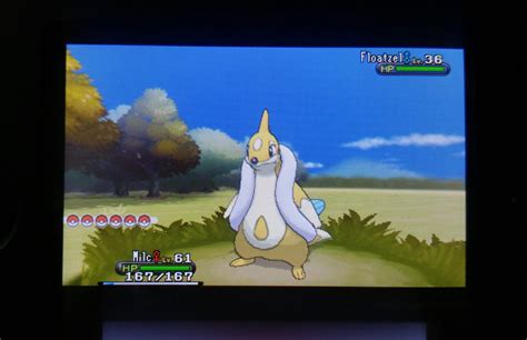 [6] Finally got a shiny floatzel after a strenuous 1 RE : r/ShinyPokemon