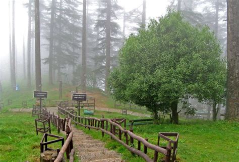 Echo Point Dhanaulti (Uttarakhand) | Images, Best Time To Visit