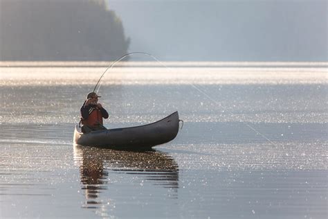 Fly Fishing in Glacier National Park 2024 - Rove.me