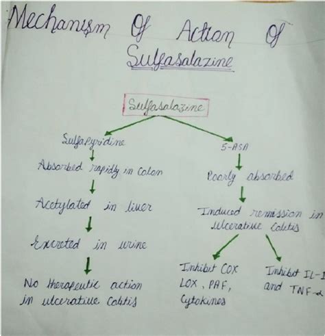 Pharmacology of Drugs: Sulfasalazine-Mechanism of action