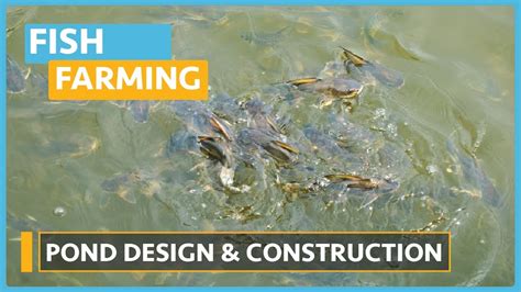 Fish Farming Pond Design