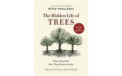 The Hidden Life of Trees Review- Why we can learn much more from trees ...