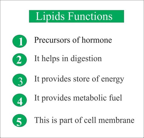 Lipids Total – Labpedia.net