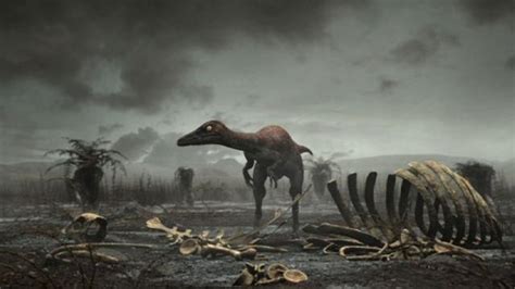 non-avian dinosaurs - Google Search | Dinosaurs extinction, Extinction, Dinosaur